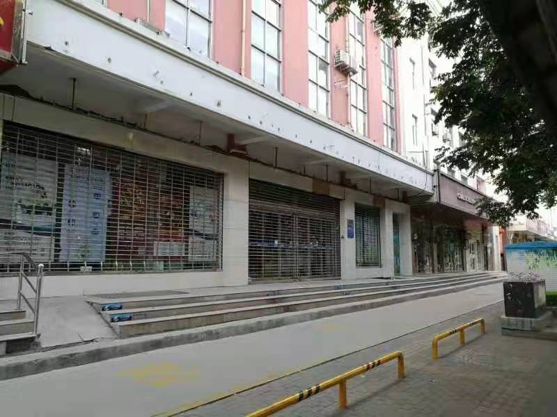 拍品展示